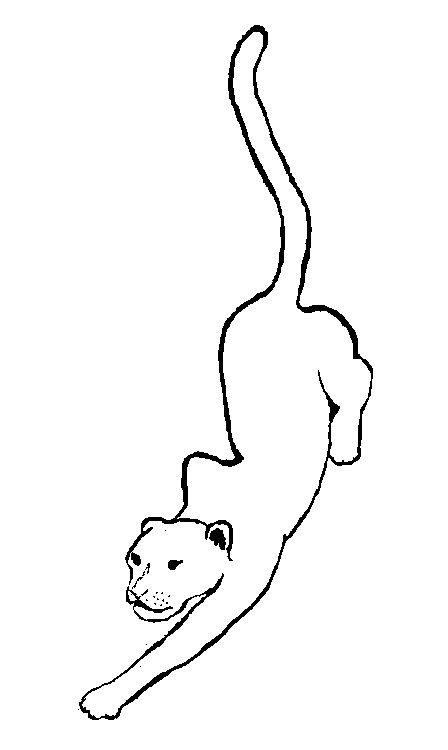 Раскраска: пантера (Животные) #15524 - Бесплатные раскраски для печати