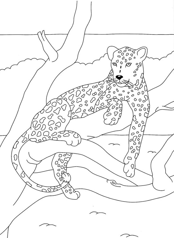 Раскраска: пантера (Животные) #15557 - Бесплатные раскраски для печати