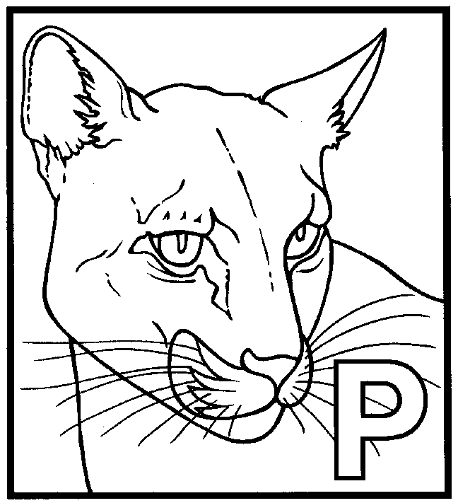 Раскраска: пантера (Животные) #15594 - Бесплатные раскраски для печати