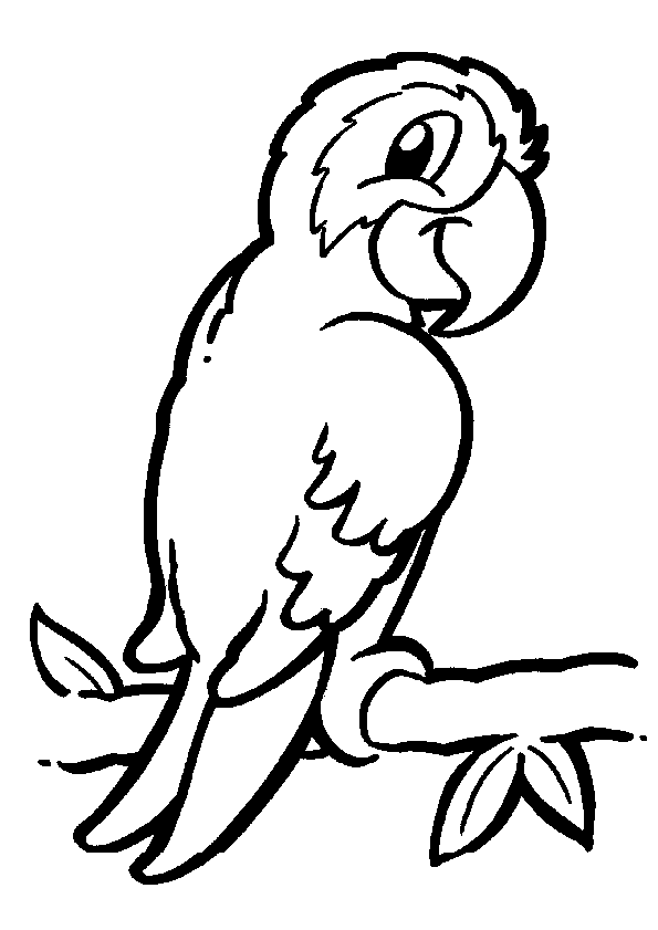 Раскраска: попугай (Животные) #16061 - Бесплатные раскраски для печати