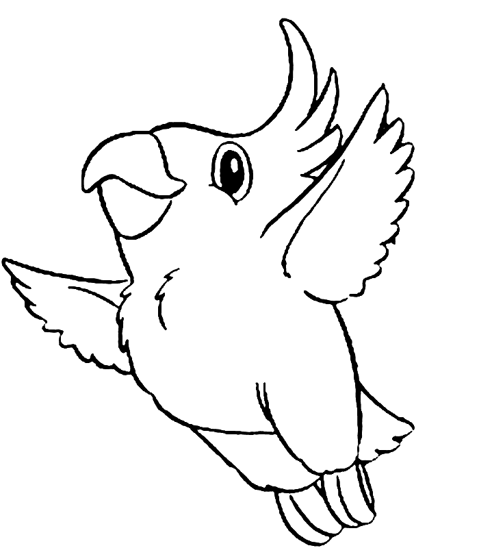 Раскраска: попугай (Животные) #16063 - Бесплатные раскраски для печати