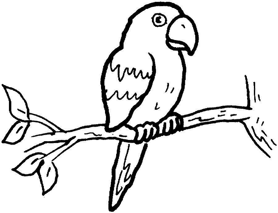 Раскраска: попугай (Животные) #16074 - Бесплатные раскраски для печати