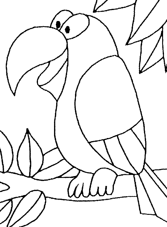 Раскраска: попугай (Животные) #16079 - Бесплатные раскраски для печати