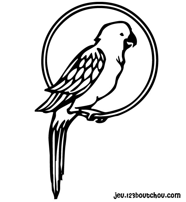 Раскраска: попугай (Животные) #16080 - Бесплатные раскраски для печати