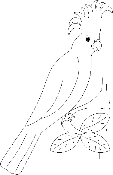Раскраска: попугай (Животные) #16092 - Бесплатные раскраски для печати