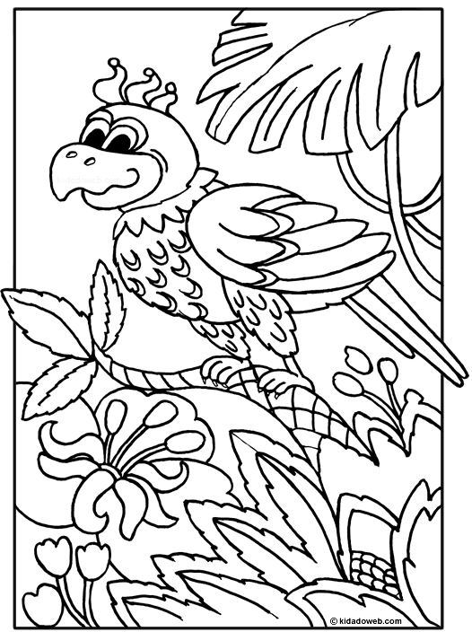 Раскраска: попугай (Животные) #16094 - Бесплатные раскраски для печати