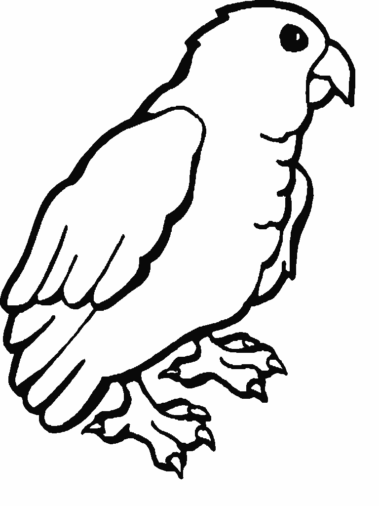 Раскраска: попугай (Животные) #16109 - Бесплатные раскраски для печати