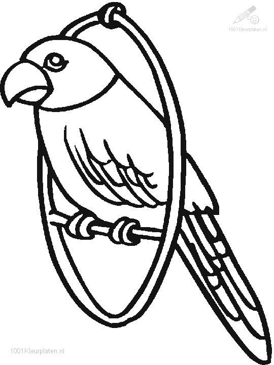 Раскраска: попугай (Животные) #16112 - Бесплатные раскраски для печати