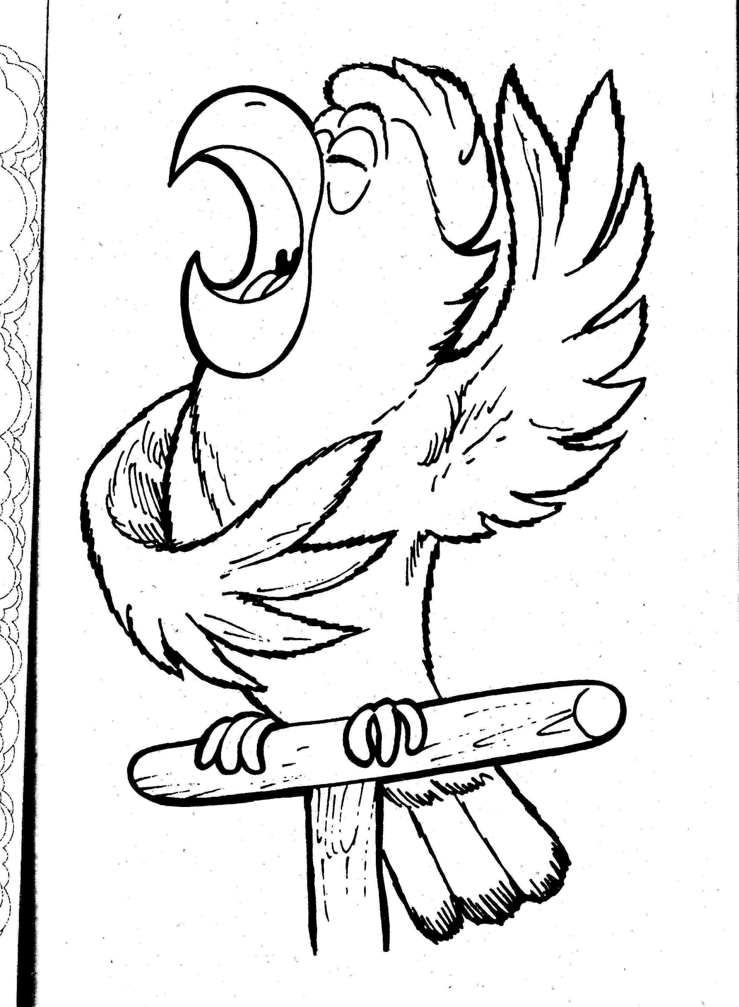 Раскраска: попугай (Животные) #16131 - Бесплатные раскраски для печати