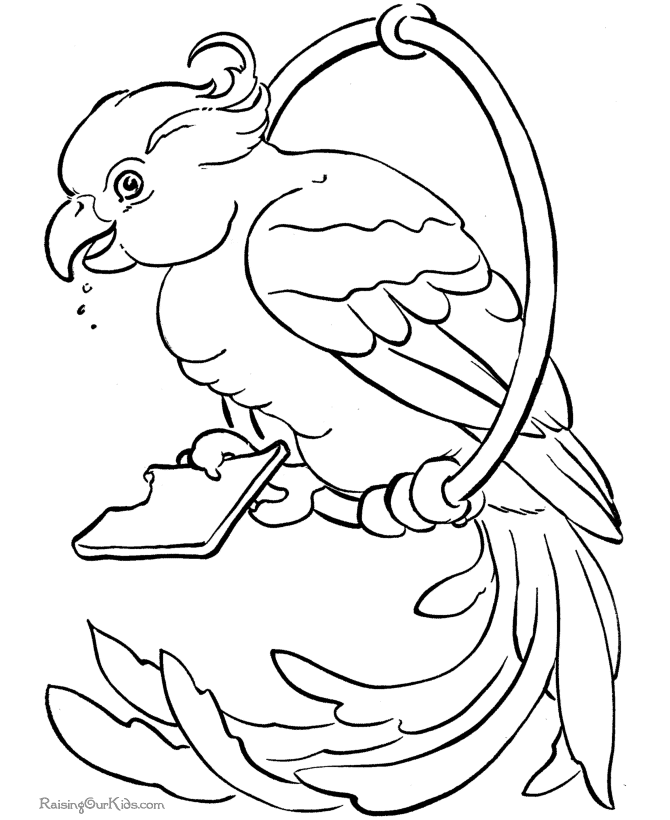 Раскраска: попугай (Животные) #16141 - Бесплатные раскраски для печати
