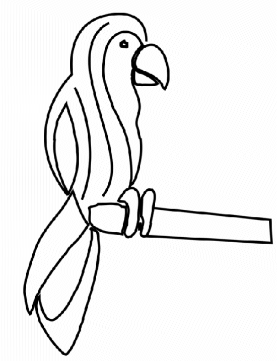 Раскраска: попугай (Животные) #16152 - Бесплатные раскраски для печати