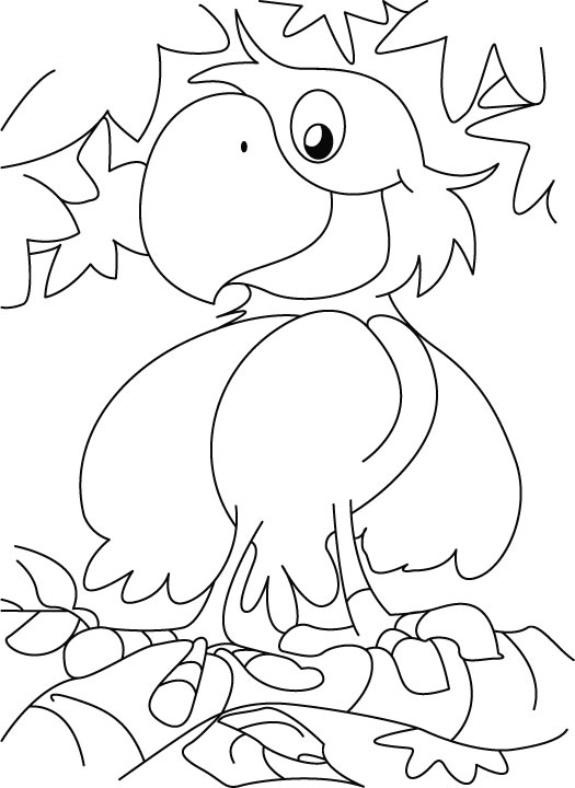 Раскраска: попугай (Животные) #16159 - Бесплатные раскраски для печати
