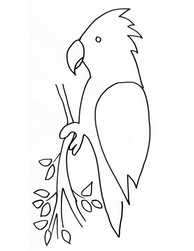 Раскраска: попугай (Животные) #16168 - Бесплатные раскраски для печати