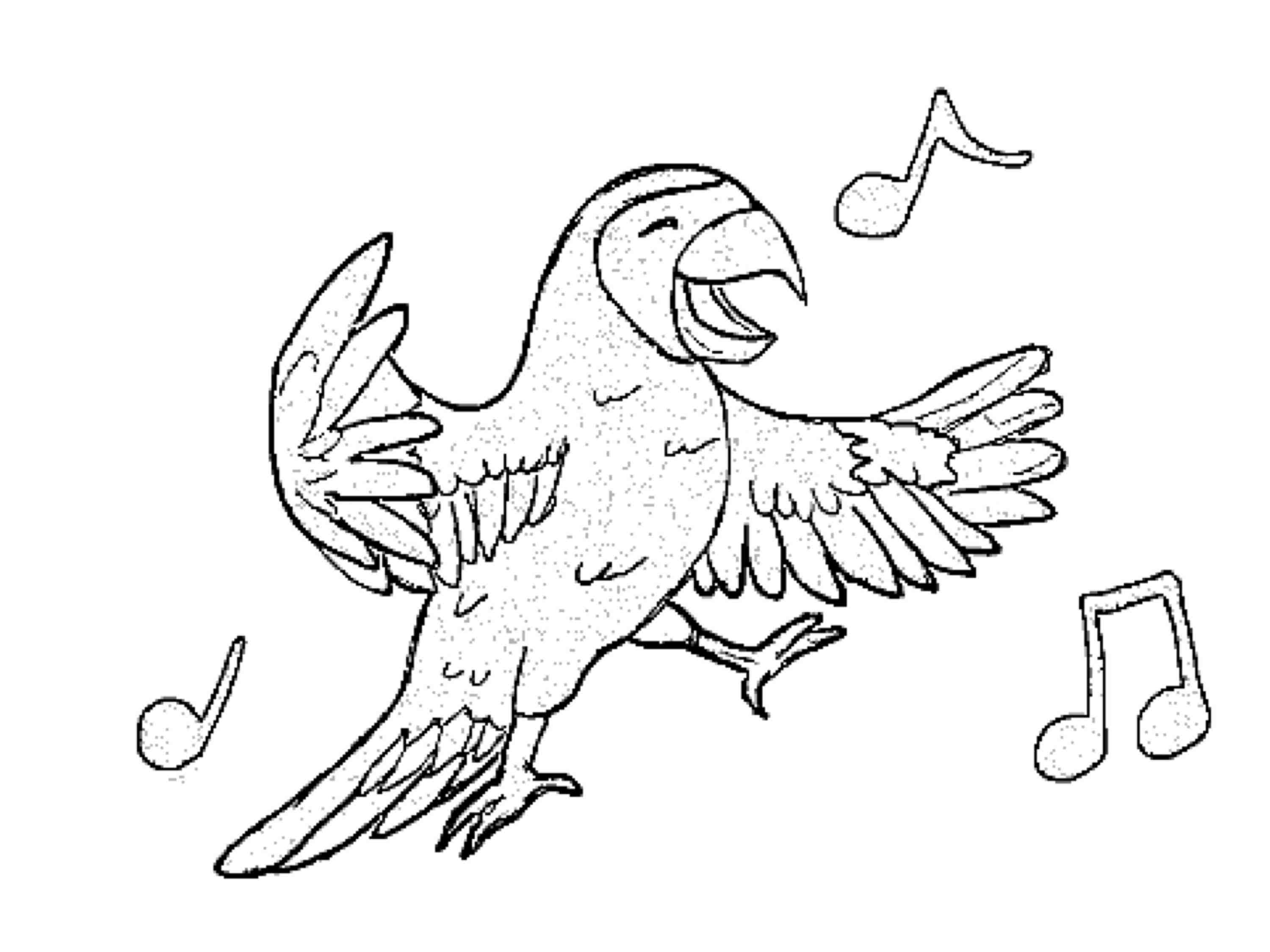 Раскраска: попугай (Животные) #16186 - Бесплатные раскраски для печати