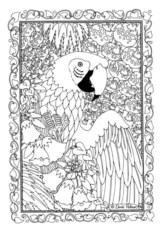 Раскраска: попугай (Животные) #16190 - Бесплатные раскраски для печати