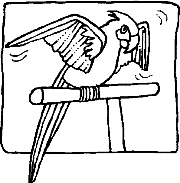 Раскраска: попугай (Животные) #16206 - Бесплатные раскраски для печати