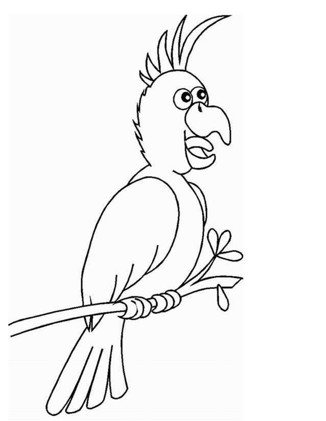 Раскраска: попугай (Животные) #16207 - Бесплатные раскраски для печати