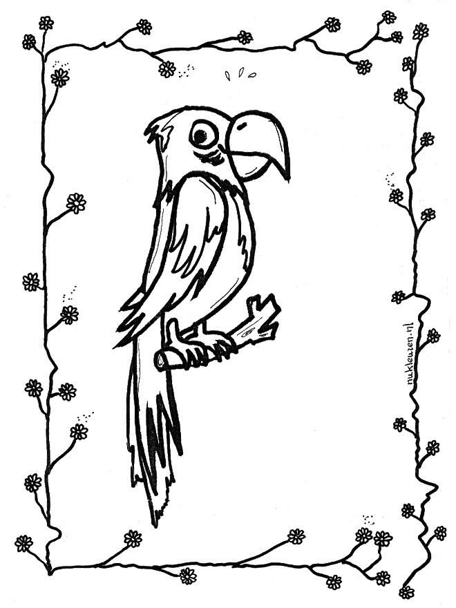 Раскраска: попугай (Животные) #16245 - Бесплатные раскраски для печати