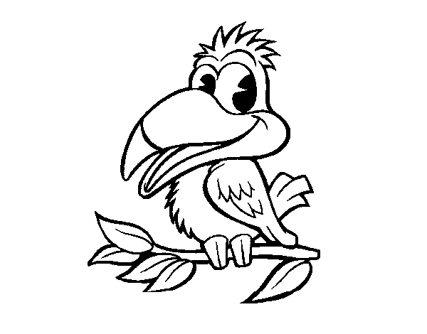 Раскраска: попугай (Животные) #16260 - Бесплатные раскраски для печати