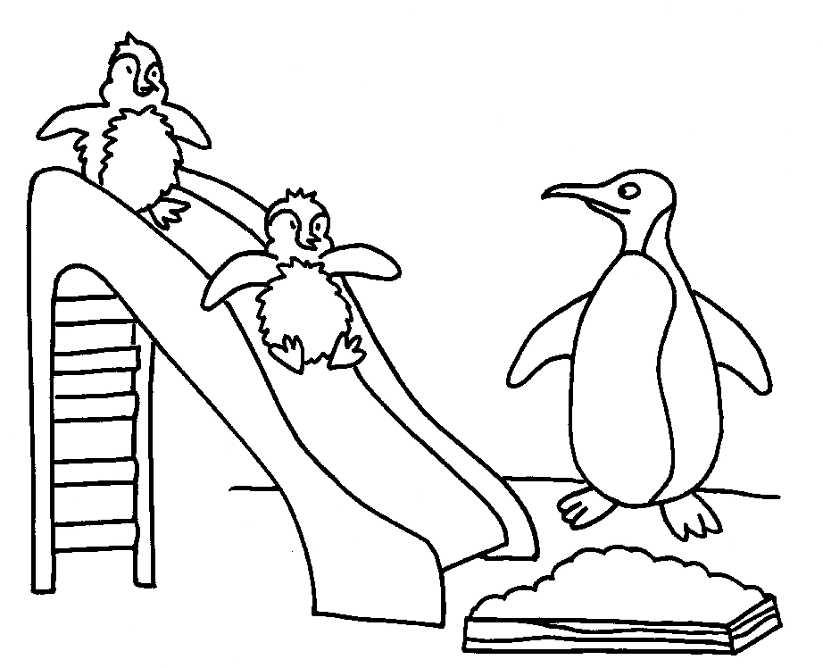 Раскраска: гагарка (Животные) #16825 - Бесплатные раскраски для печати
