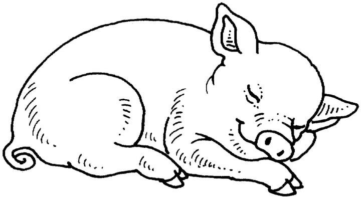 Раскраска: свинья (Животные) #3590 - Бесплатные раскраски для печати