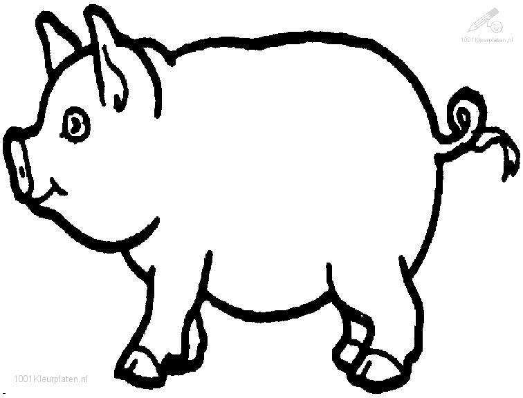 Раскраска: свинья (Животные) #3603 - Бесплатные раскраски для печати