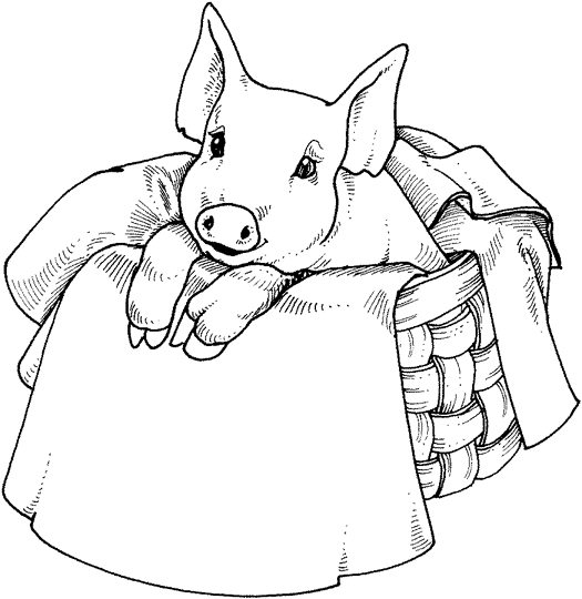 Раскраска: свинья (Животные) #3642 - Бесплатные раскраски для печати