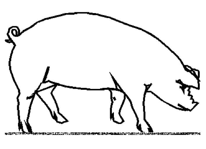 Раскраска: свинья (Животные) #3643 - Бесплатные раскраски для печати