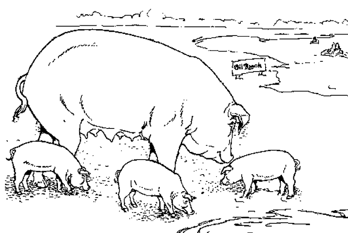 Раскраска: свинья (Животные) #3661 - Бесплатные раскраски для печати