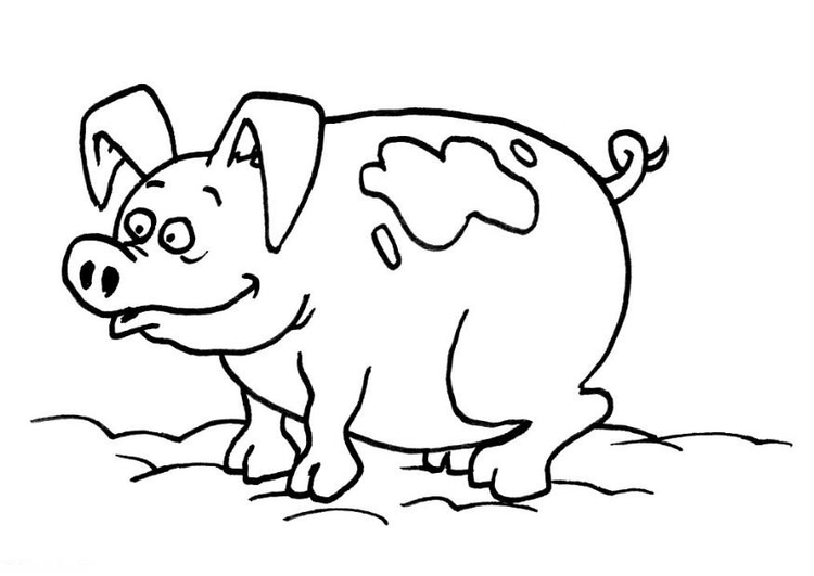 Раскраска: свинья (Животные) #3682 - Бесплатные раскраски для печати