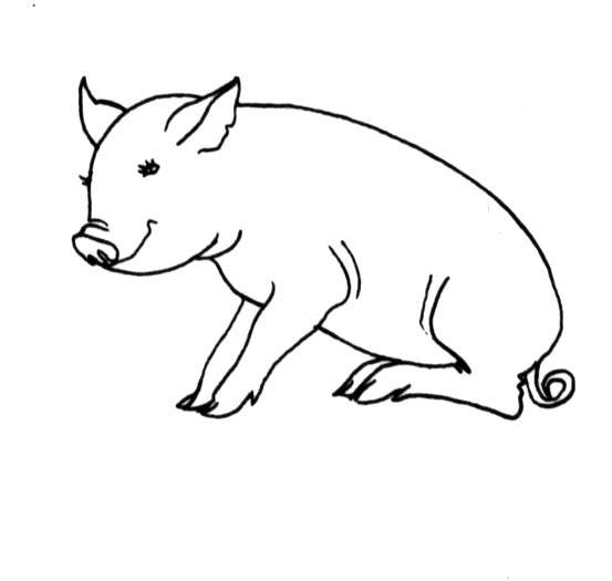 Раскраска: свинья (Животные) #3744 - Бесплатные раскраски для печати