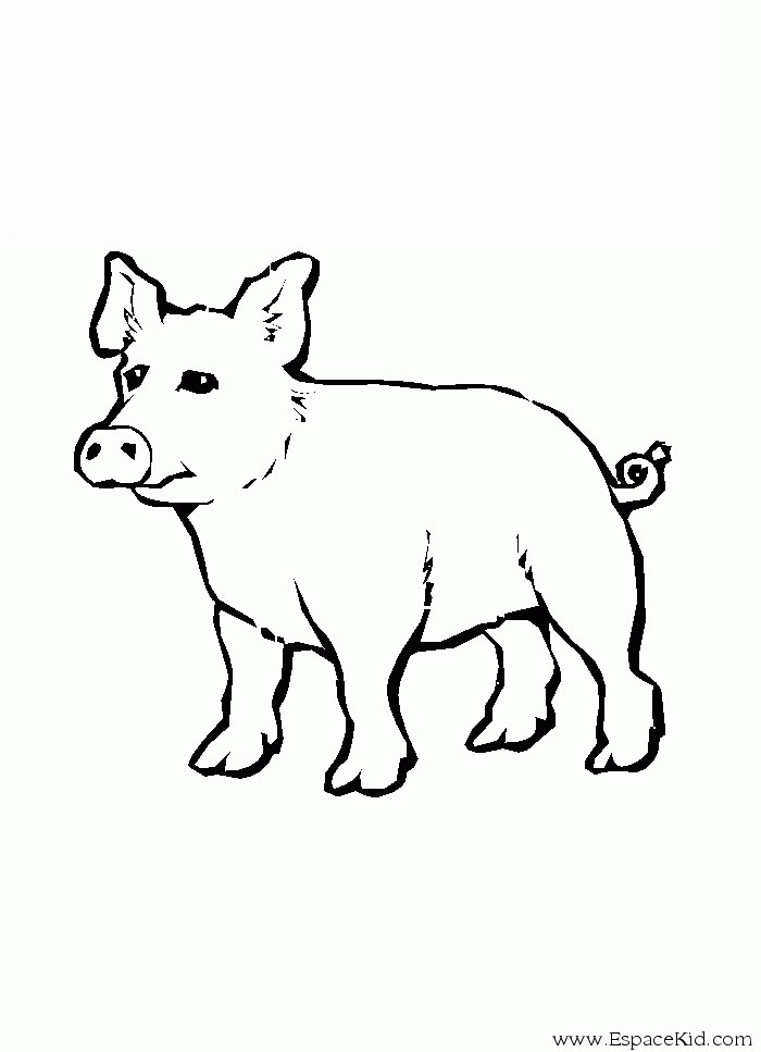 Раскраска: свинья (Животные) #3765 - Бесплатные раскраски для печати