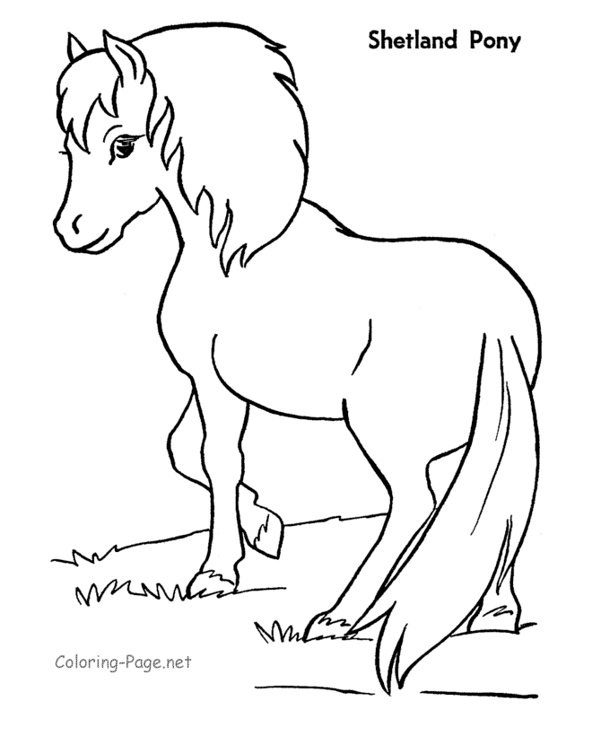 Раскраска: пони (Животные) #17946 - Бесплатные раскраски для печати
