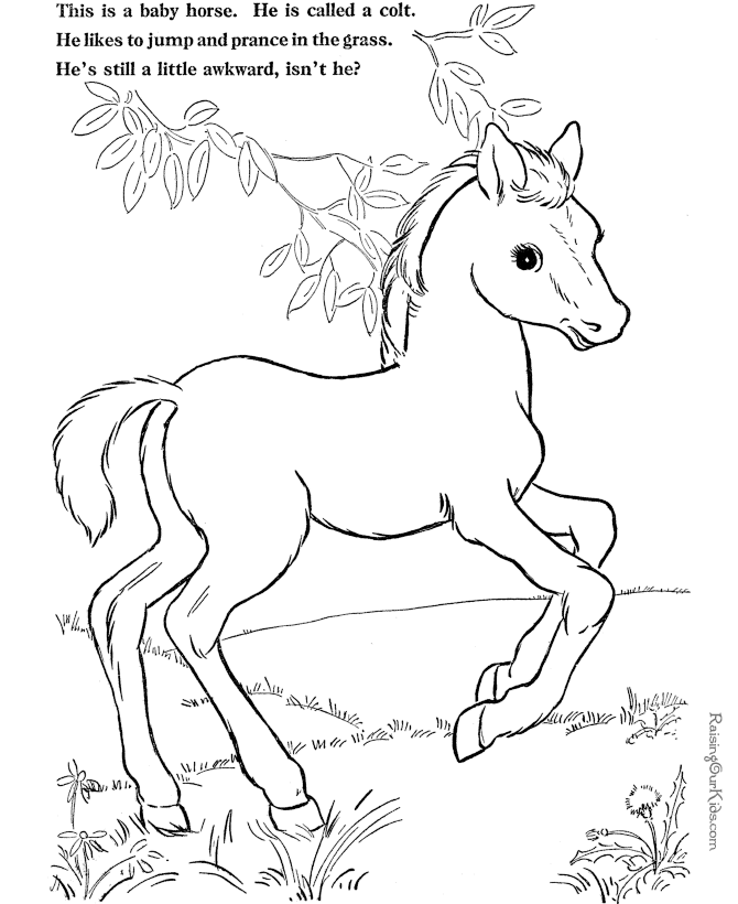 Раскраска: пони (Животные) #17997 - Бесплатные раскраски для печати