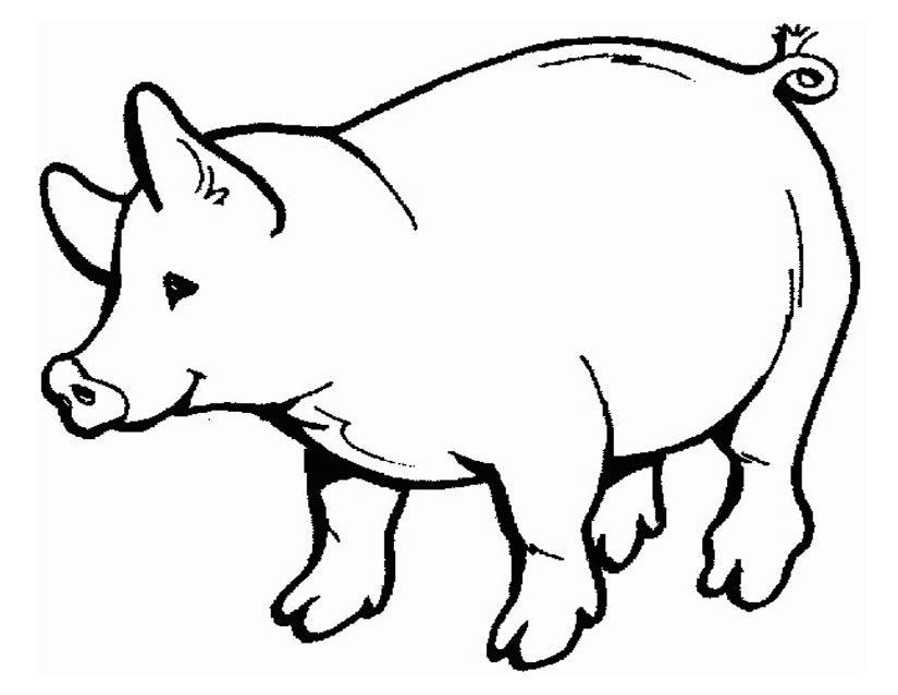 Раскраска: свинина (Животные) #17621 - Бесплатные раскраски для печати