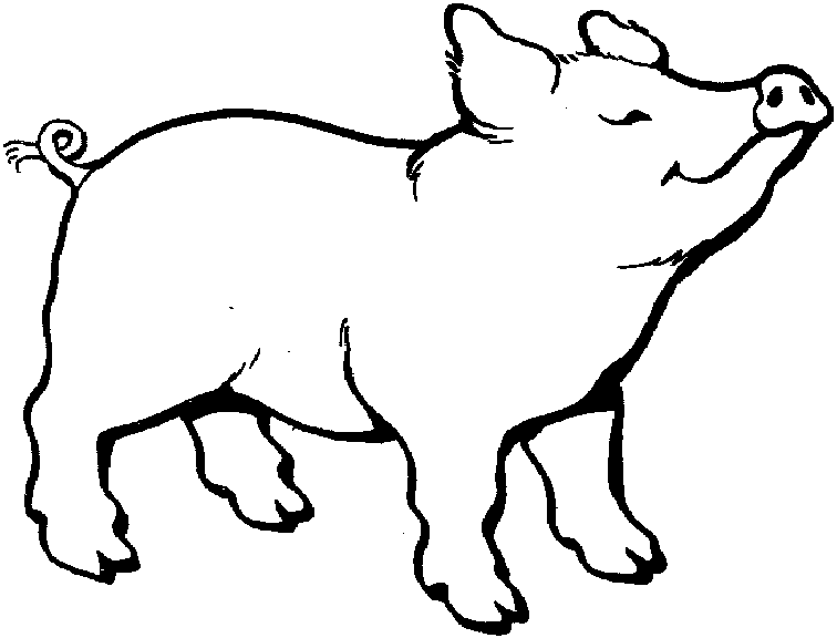 Раскраска: свинина (Животные) #17622 - Бесплатные раскраски для печати