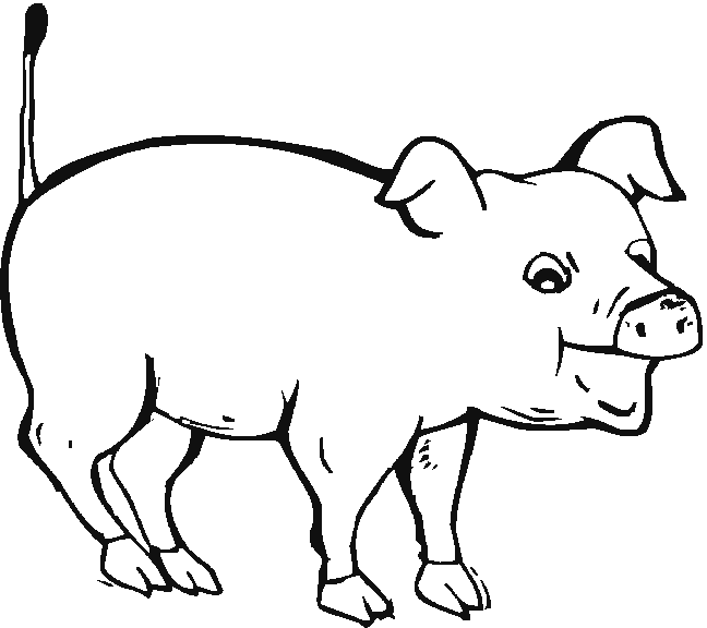 Раскраска: свинина (Животные) #17631 - Бесплатные раскраски для печати