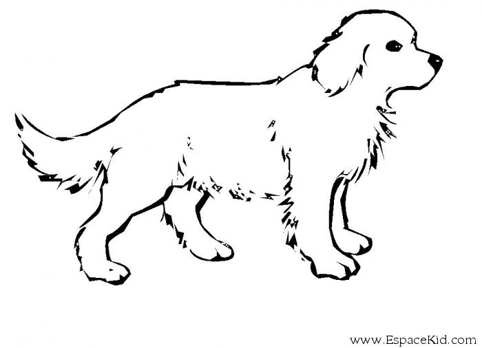 Раскраска: щенок (Животные) #2899 - Бесплатные раскраски для печати