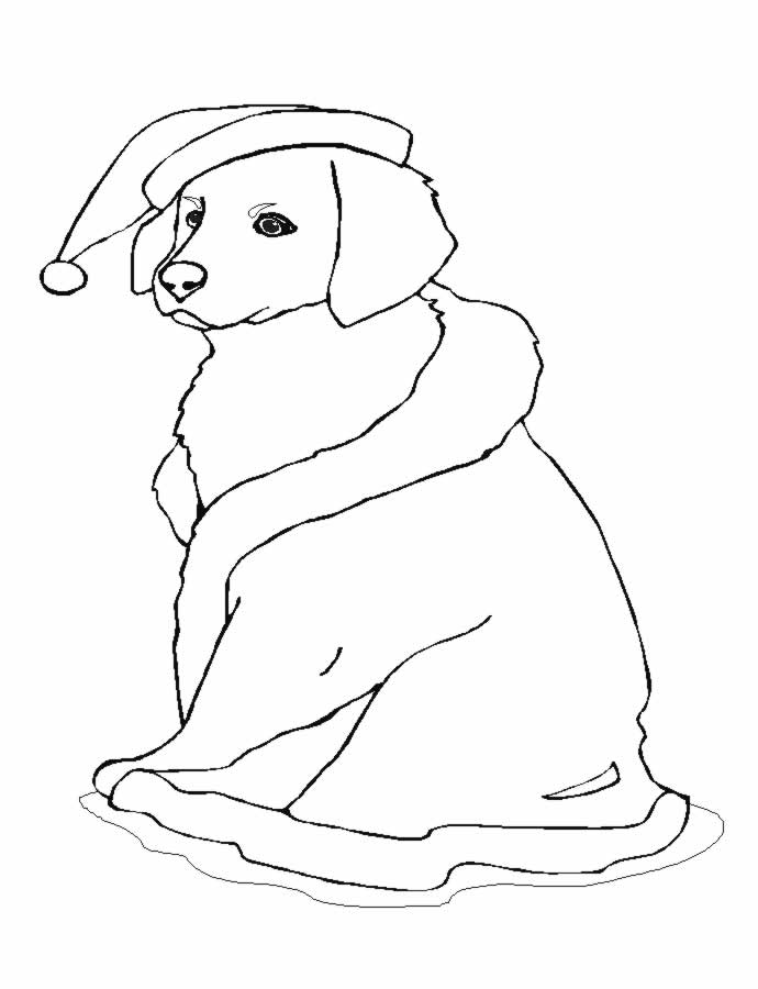 Раскраска: щенок (Животные) #2905 - Бесплатные раскраски для печати