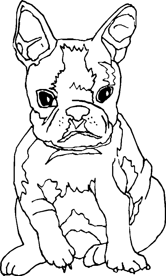 Раскраска: щенок (Животные) #2924 - Бесплатные раскраски для печати