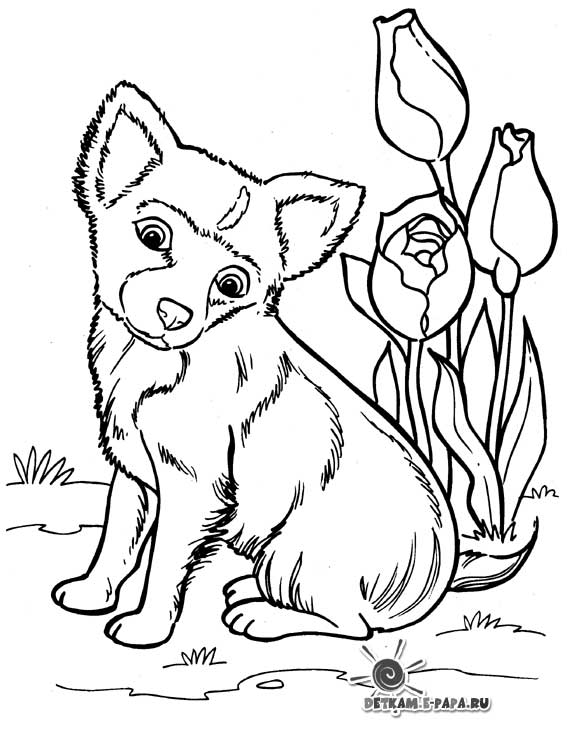 Раскраска: щенок (Животные) #2941 - Бесплатные раскраски для печати