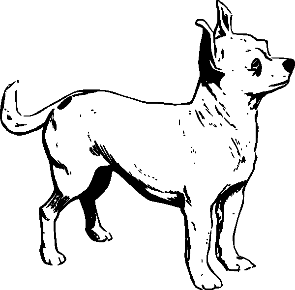 Раскраска: щенок (Животные) #2962 - Бесплатные раскраски для печати