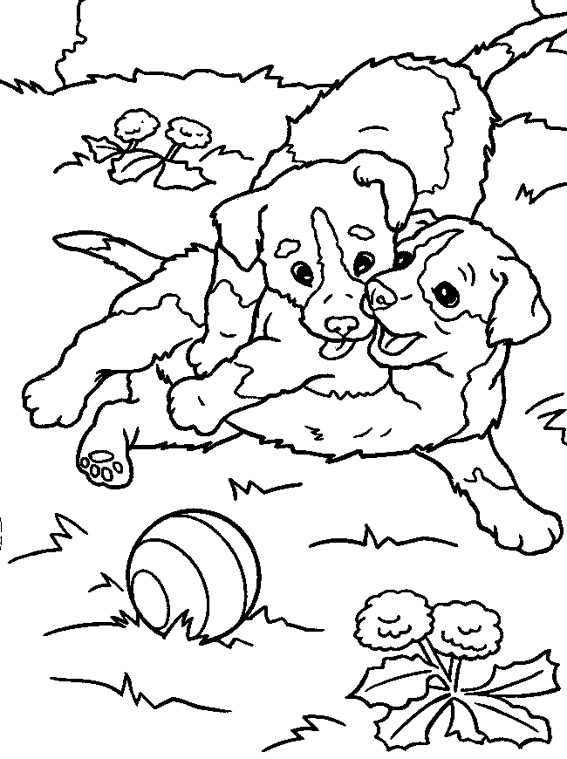 Раскраска: щенок (Животные) #3005 - Бесплатные раскраски для печати