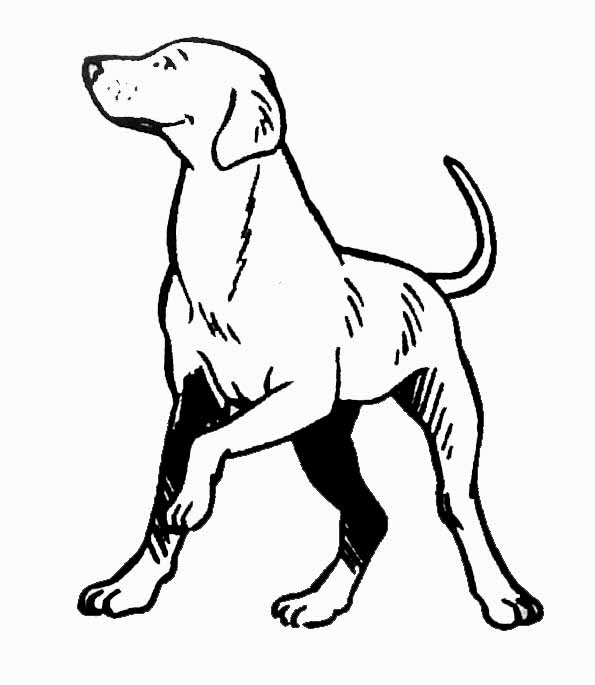 Раскраска: щенок (Животные) #3014 - Бесплатные раскраски для печати