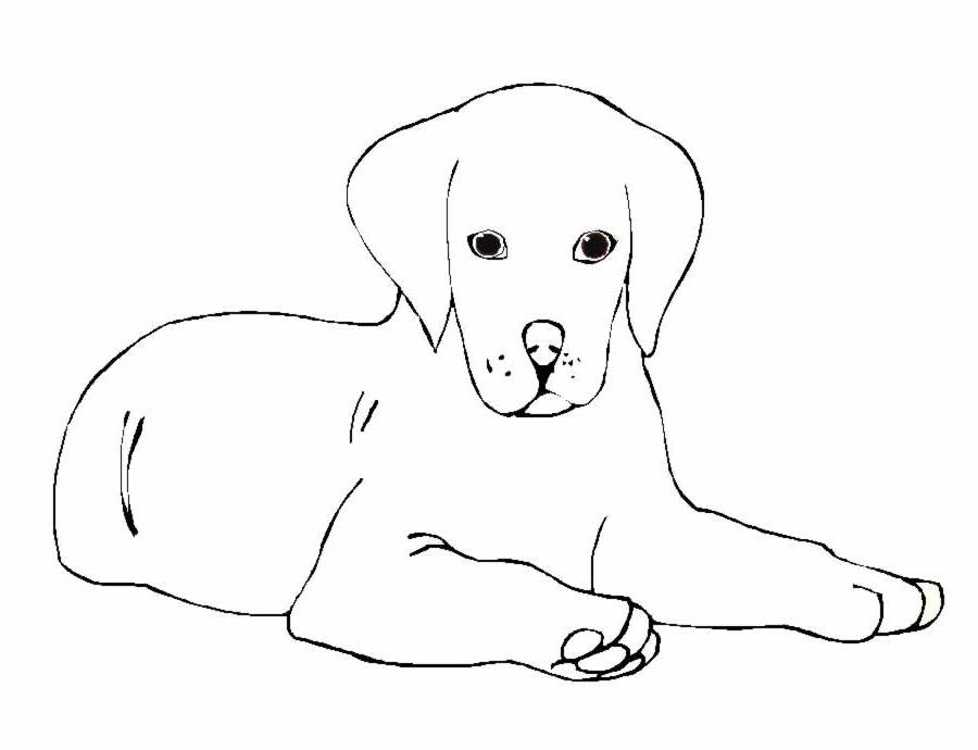 Раскраска: щенок (Животные) #3052 - Бесплатные раскраски для печати