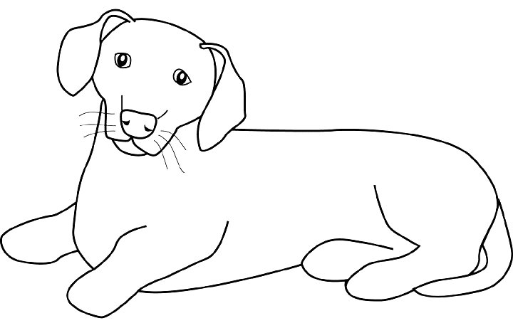 Раскраска: щенок (Животные) #3059 - Бесплатные раскраски для печати