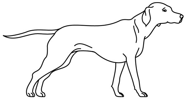 Раскраска: щенок (Животные) #3080 - Бесплатные раскраски для печати
