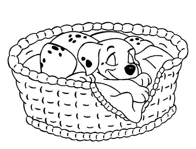 Раскраска: щенок (Животные) #3081 - Бесплатные раскраски для печати