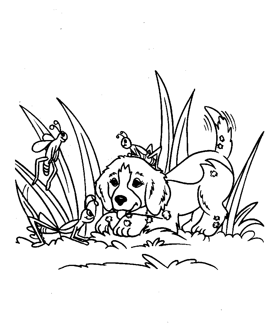 Раскраска: щенок (Животные) #3082 - Бесплатные раскраски для печати