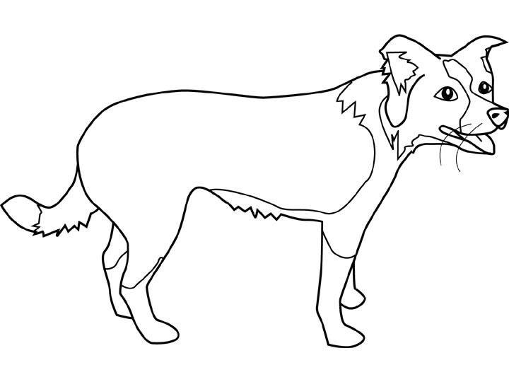 Раскраска: щенок (Животные) #3088 - Бесплатные раскраски для печати